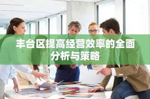 丰台区提高经营效率的全面分析与策略