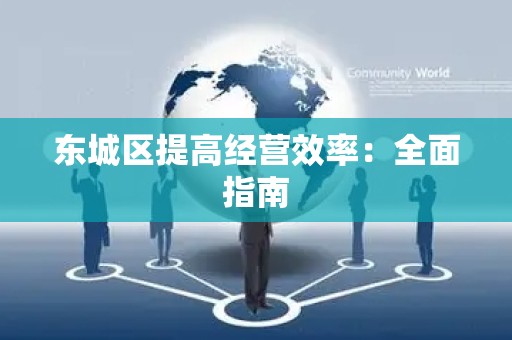 东城区提高经营效率：全面指南
