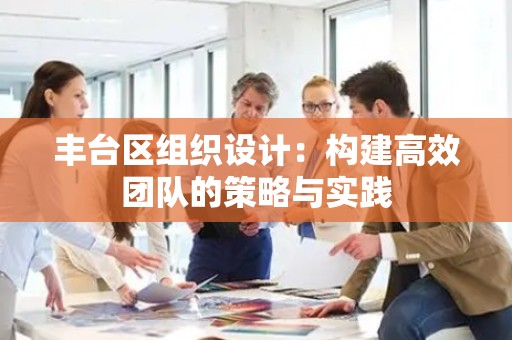 丰台区组织设计：构建高效团队的策略与实践