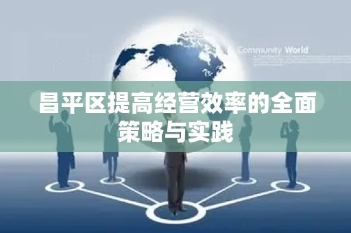 昌平区提高经营效率的全面策略与实践