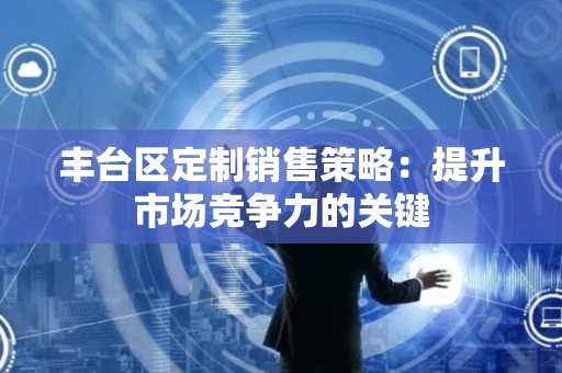 丰台区定制销售策略：提升市场竞争力的关键
