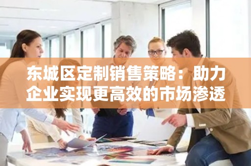 东城区定制销售策略：助力企业实现更高效的市场渗透