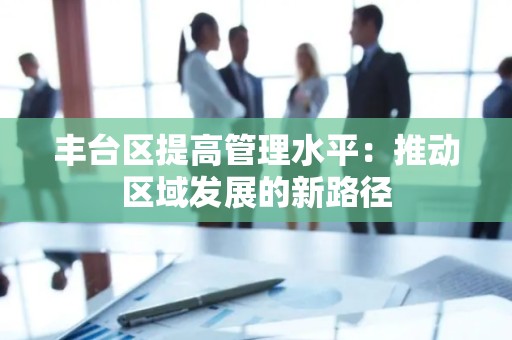 丰台区提高管理水平：推动区域发展的新路径