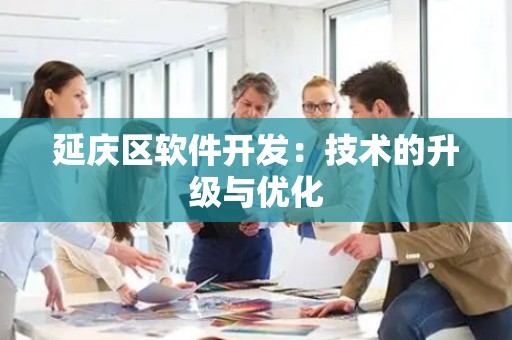 延庆区软件开发：技术的升级与优化