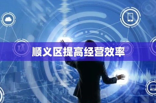 顺义区提高经营效率