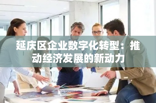 延庆区企业数字化转型：推动经济发展的新动力