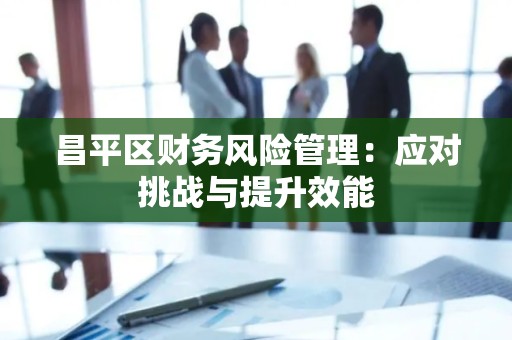 昌平区财务风险管理：应对挑战与提升效能