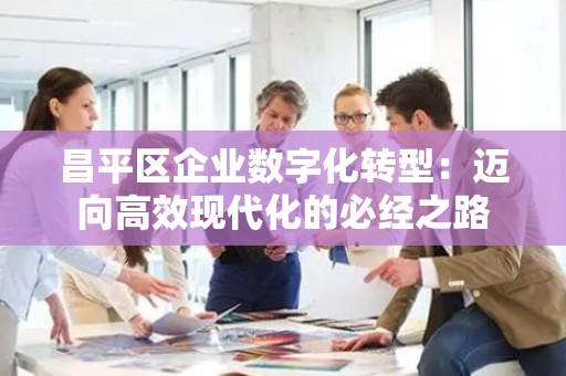 昌平区企业数字化转型：迈向高效现代化的必经之路
