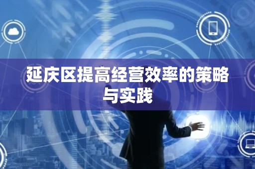 延庆区提高经营效率的策略与实践