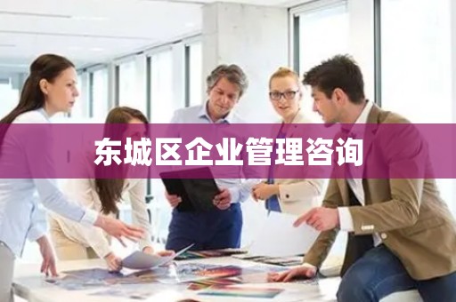 东城区企业管理咨询