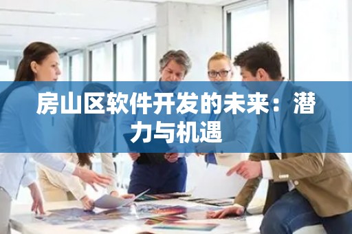 房山区软件开发的未来：潜力与机遇