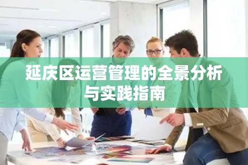 延庆区运营管理的全景分析与实践指南
