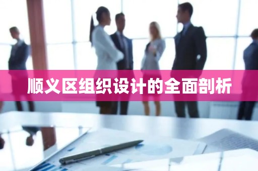 顺义区组织设计的全面剖析