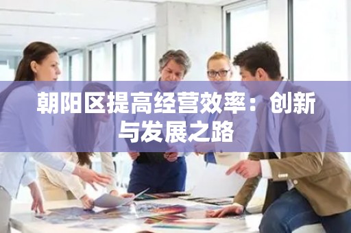 朝阳区提高经营效率：创新与发展之路