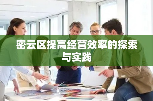 密云区提高经营效率的探索与实践