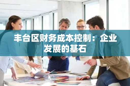 丰台区财务成本控制：企业发展的基石