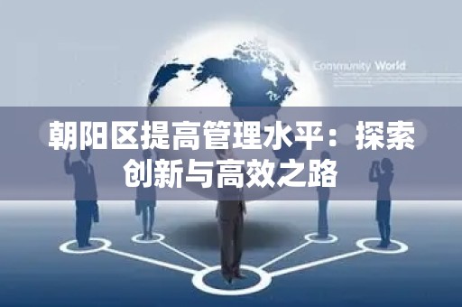 朝阳区提高管理水平：探索创新与高效之路