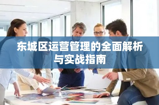 东城区运营管理的全面解析与实战指南