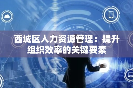 西城区人力资源管理：提升组织效率的关键要素
