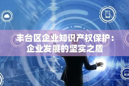 丰台区企业知识产权保护：企业发展的坚实之盾