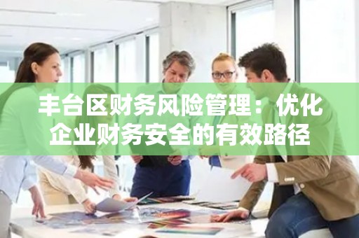 丰台区财务风险管理：优化企业财务安全的有效路径