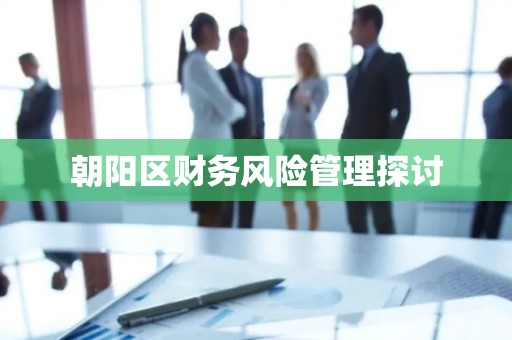 朝阳区财务风险管理探讨