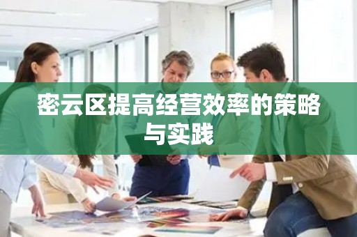密云区提高经营效率的策略与实践