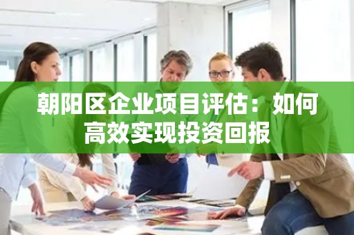 朝阳区企业项目评估：如何高效实现投资回报