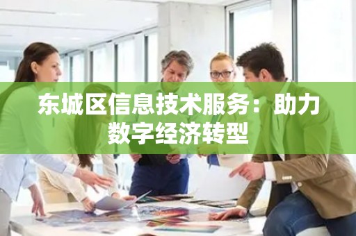 东城区信息技术服务：助力数字经济转型