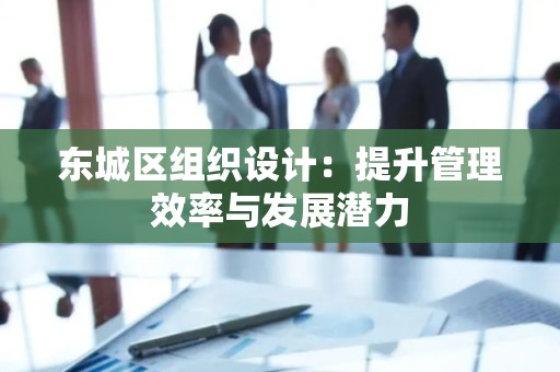 东城区组织设计：提升管理效率与发展潜力
