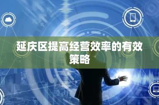 延庆区提高经营效率的有效策略