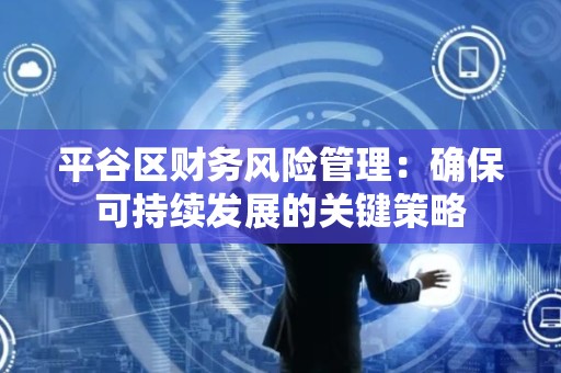平谷区财务风险管理：确保可持续发展的关键策略