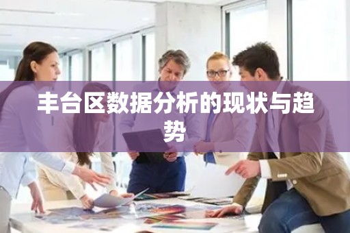 丰台区数据分析的现状与趋势