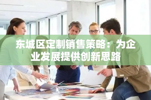 东城区定制销售策略：为企业发展提供创新思路