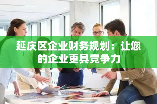 延庆区企业财务规划：让您的企业更具竞争力