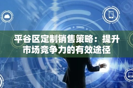 平谷区定制销售策略：提升市场竞争力的有效途径