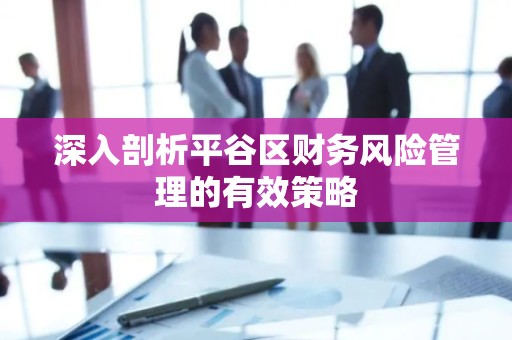 深入剖析平谷区财务风险管理的有效策略