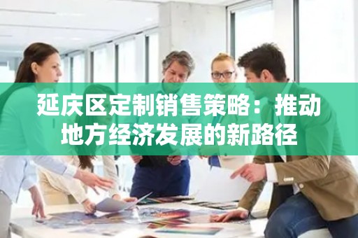 延庆区定制销售策略：推动地方经济发展的新路径