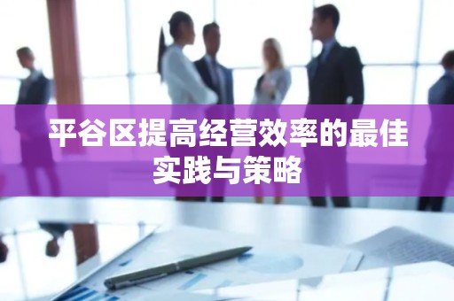 平谷区提高经营效率的最佳实践与策略