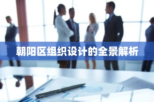 朝阳区组织设计的全景解析