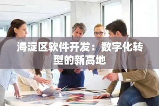 海淀区软件开发：数字化转型的新高地