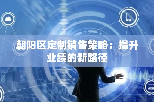 朝阳区定制销售策略：提升业绩的新路径