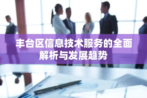 丰台区信息技术服务的全面解析与发展趋势