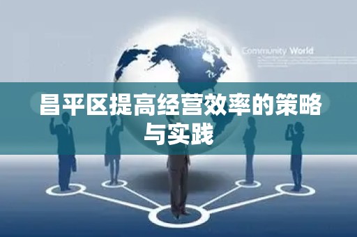 昌平区提高经营效率的策略与实践