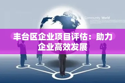 丰台区企业项目评估：助力企业高效发展